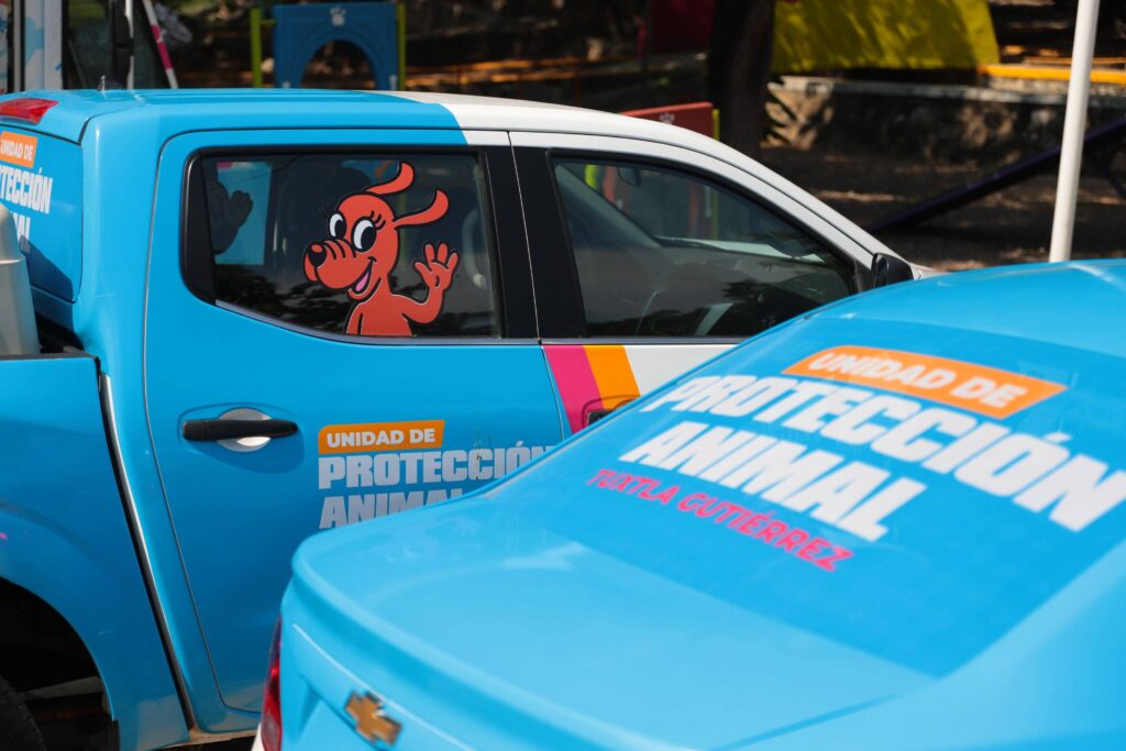 AT PROTECCION ANIMAL4 2