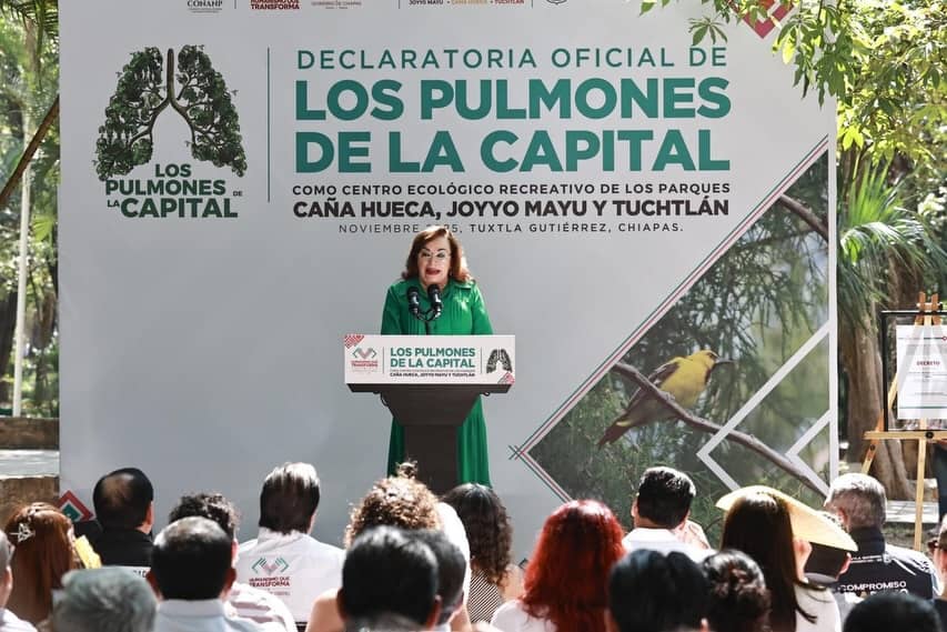 ERA PULMONES DE LA CAPITAL 1