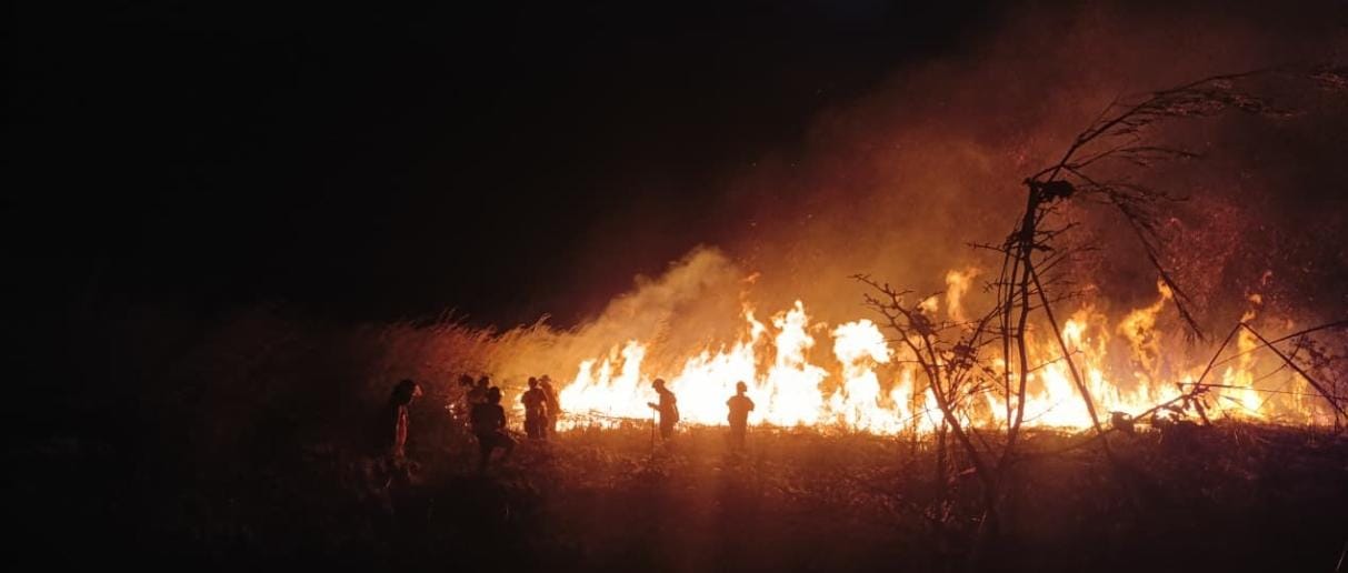 Protección Civil presenta denuncia penal por incendio presuntamente provocado en la colonia Plan de Ayala