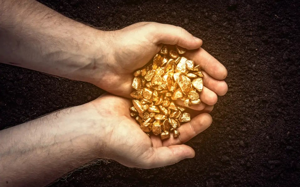 Hallazgo millonario en Francia: descubre oro mientras cavaba una piscina