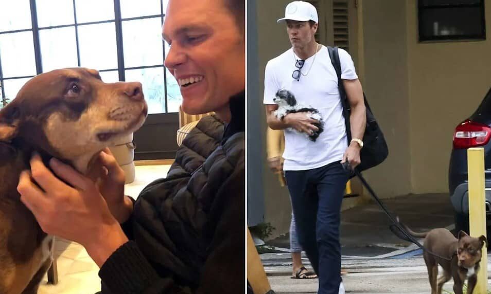 Tom Brady admite que clonó a su perro Lua