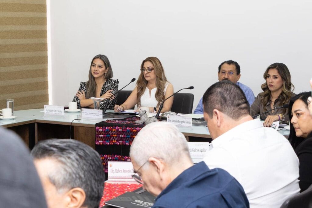 CE COMPARECENCIA SECRETARIA DE GOBIERNO2 1