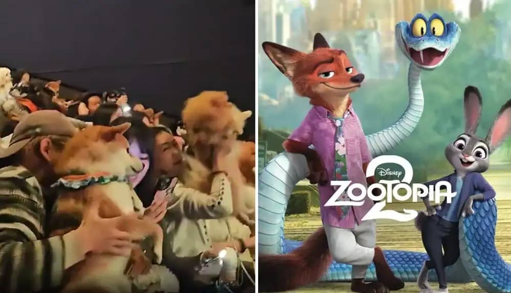 ¡Función perruna! Cines en China permiten que lomitos vean 'Zootopia 2'… pero dividen opiniones