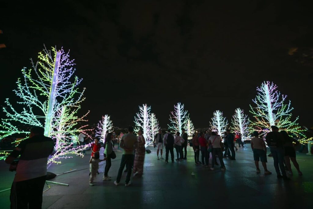 ERA ARBOL DE NAVIDAD 20254 1