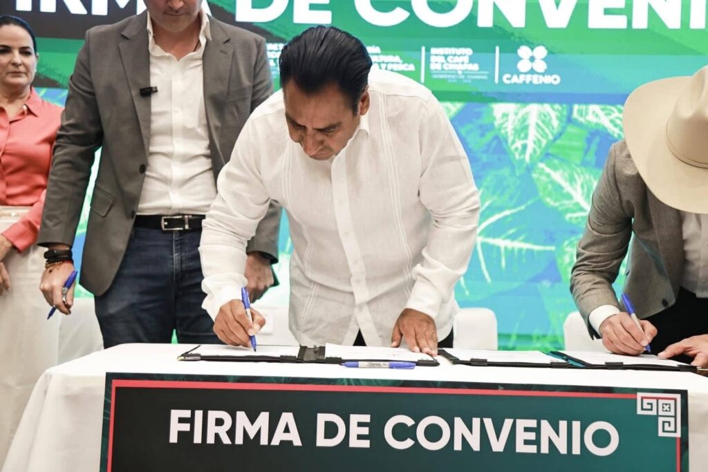 ERA SEMILLAS DEL FUTURO25 1