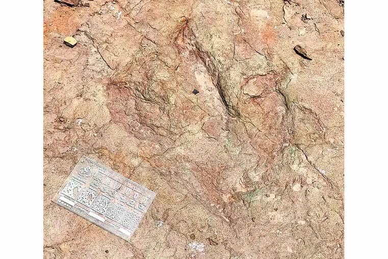 INAH: Descubren pisadas de dinosaurios en la zona de Tehuacán, Puebla