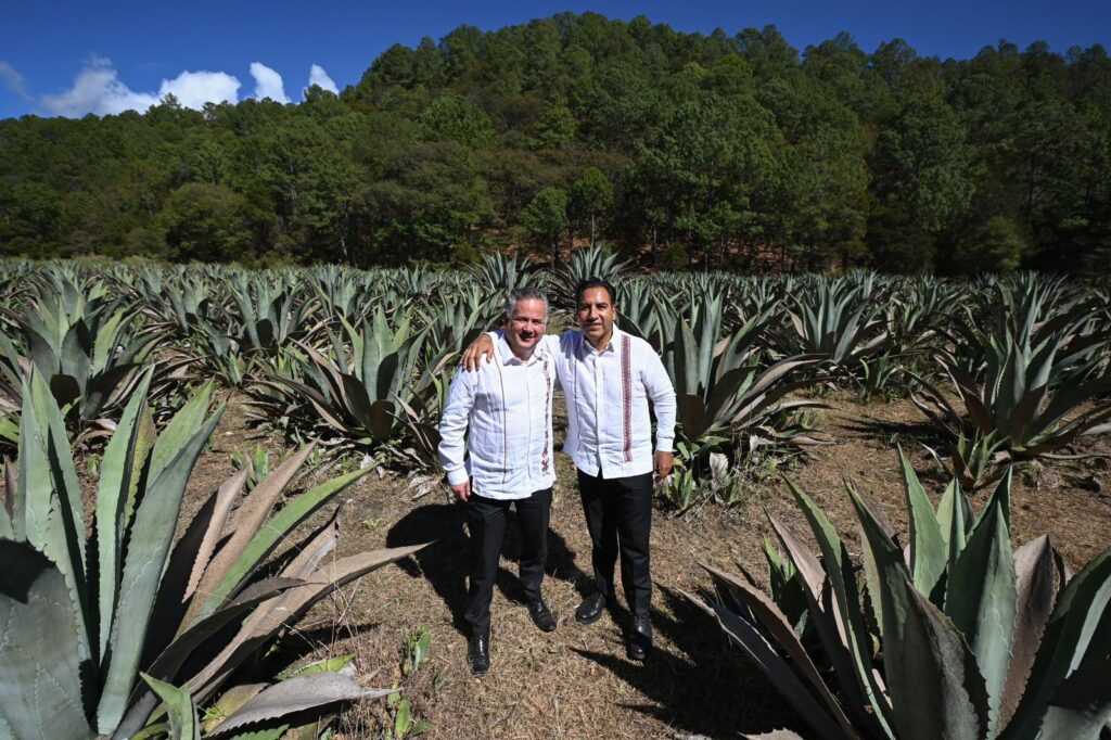 ERA COMITECO EN COMITAN MEZCAL1