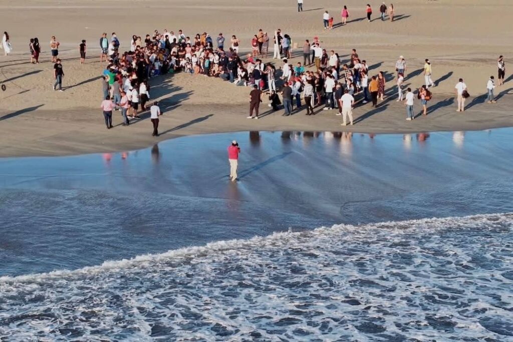 ERA LIBERACION DE TORTUGAS 1