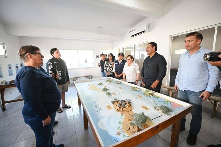 ERA LIBERACION DE TORTUGAS3 1