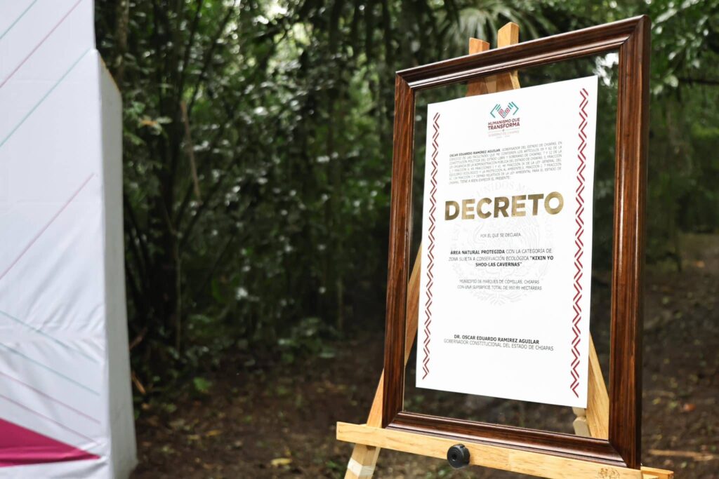 ERA MARQUES DE COMITA AREA NATURAL PROTEGIDA 6 1