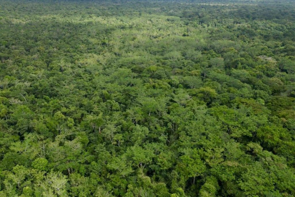 ERA MARQUES DE COMITA AREA NATURAL PROTEGIDA1 1