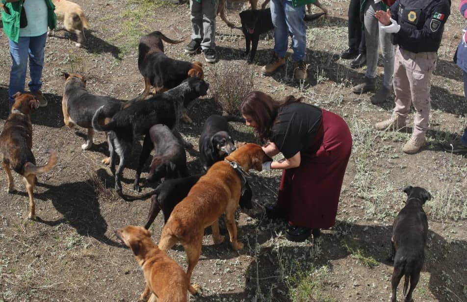 Crematorio clandestino, plaga de ratas y alimentos contaminados; Fiscalía revela condiciones críticas en Refugio Franciscano