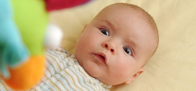El cerebro de los bebés clasifica los objetos con solo dos meses de edad