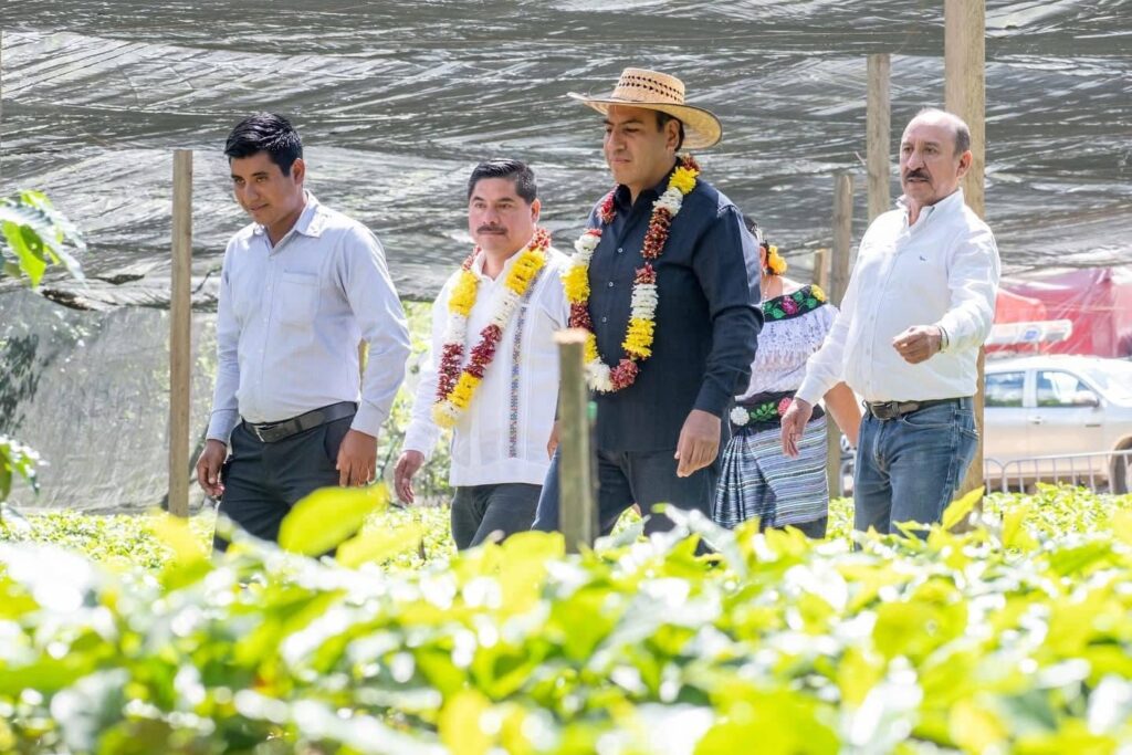 ERA CAFE CON HUMANISMO4 1