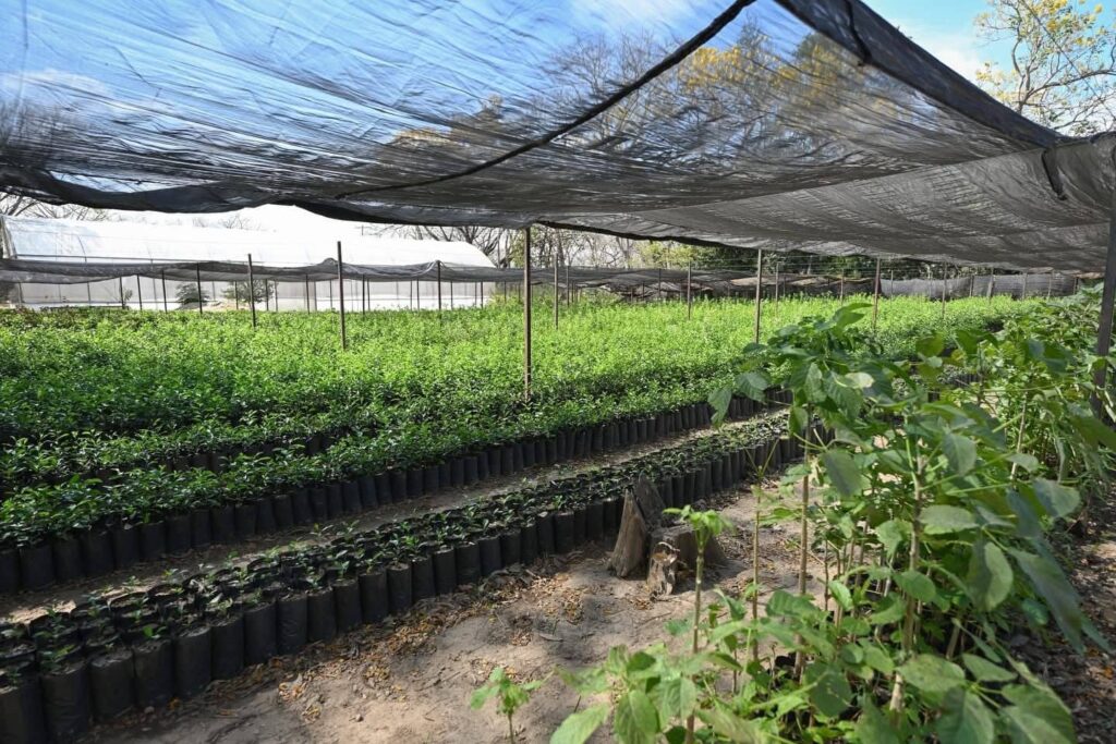 ERA Y SEMAHN MICROCUENCAS3 1