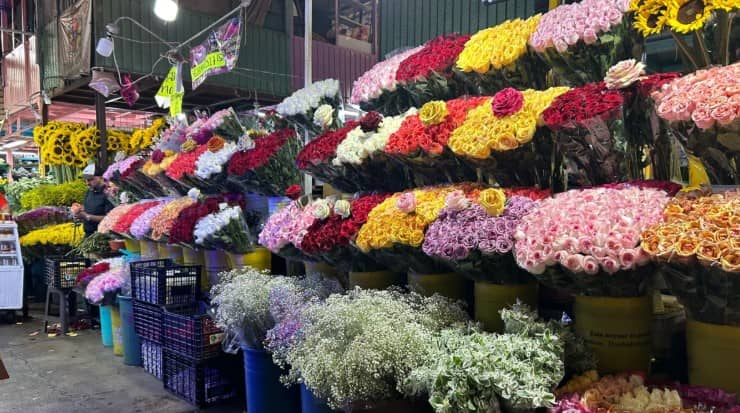 ¿Rosas o tulipanes? Las mejores flores para regalar en San Valentín 2026