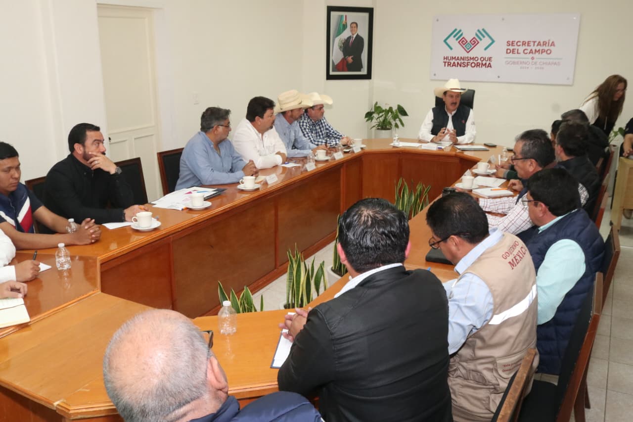 Chiapas, referente nacional en lucha contra gusano barrenador: Gobierno Federal