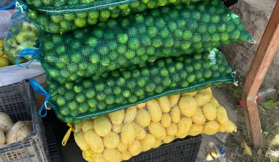 Canasta básica sube y sube: 6 de cada 10 productos ya cuestan más