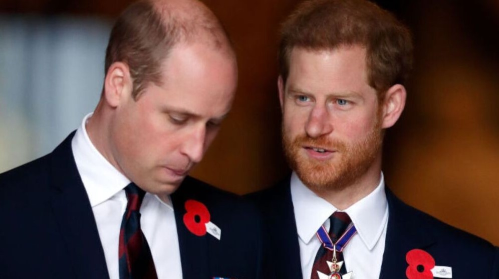 Los problemas maternos de William y Harry