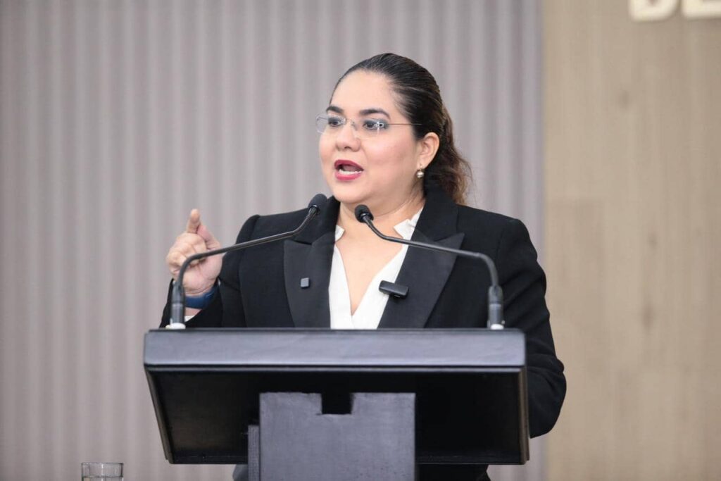 ce reforma a la ley de armas1 1