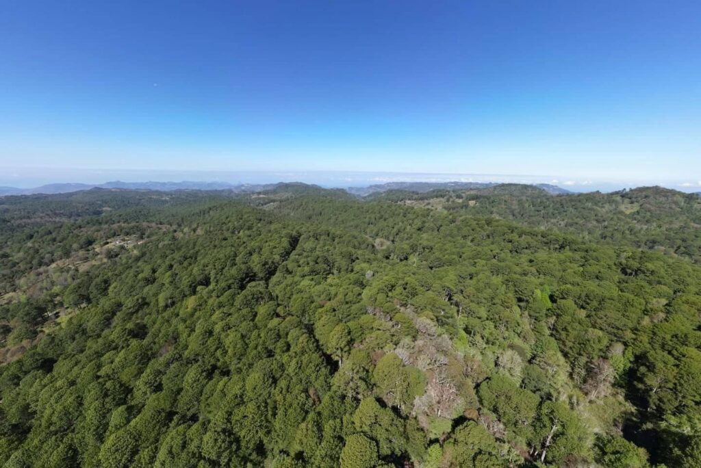 ERA COAPILLA AREA NATURAL PROTEGIDA4 1