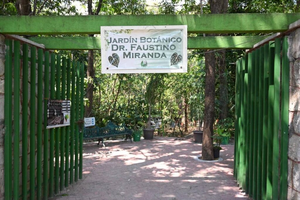 DIA DE LOS JARDINES BOTANICOS 1