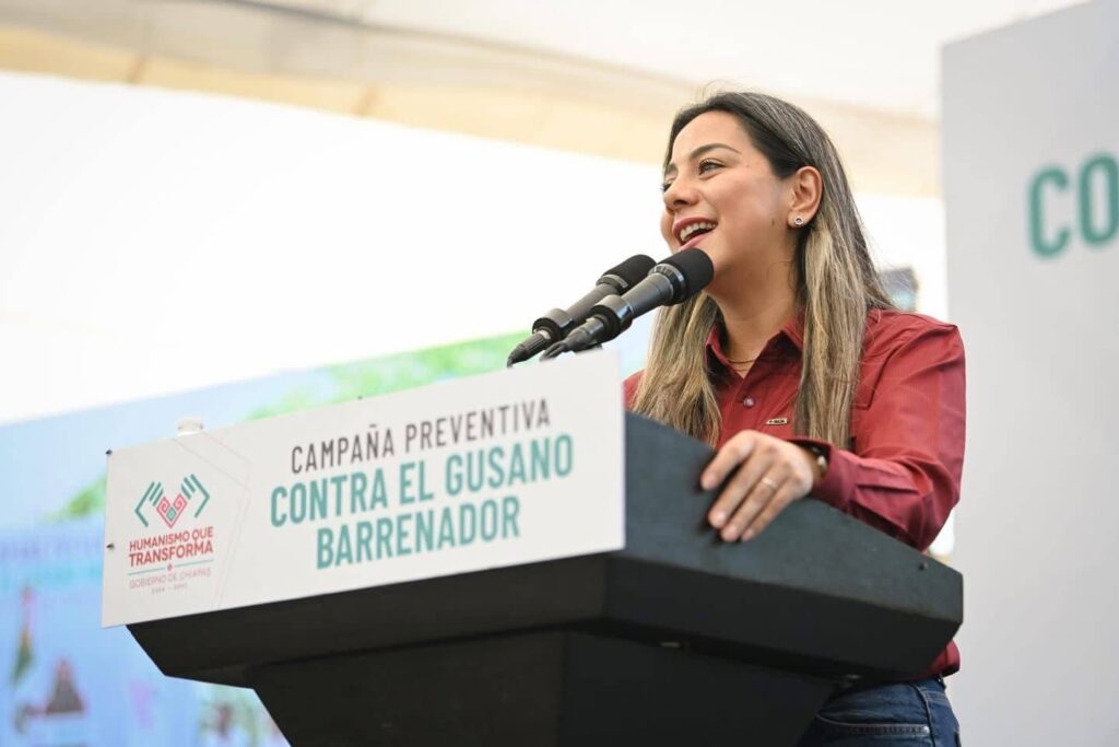 ERA GUSANO BARRENADOR PICHUCALCO10 1