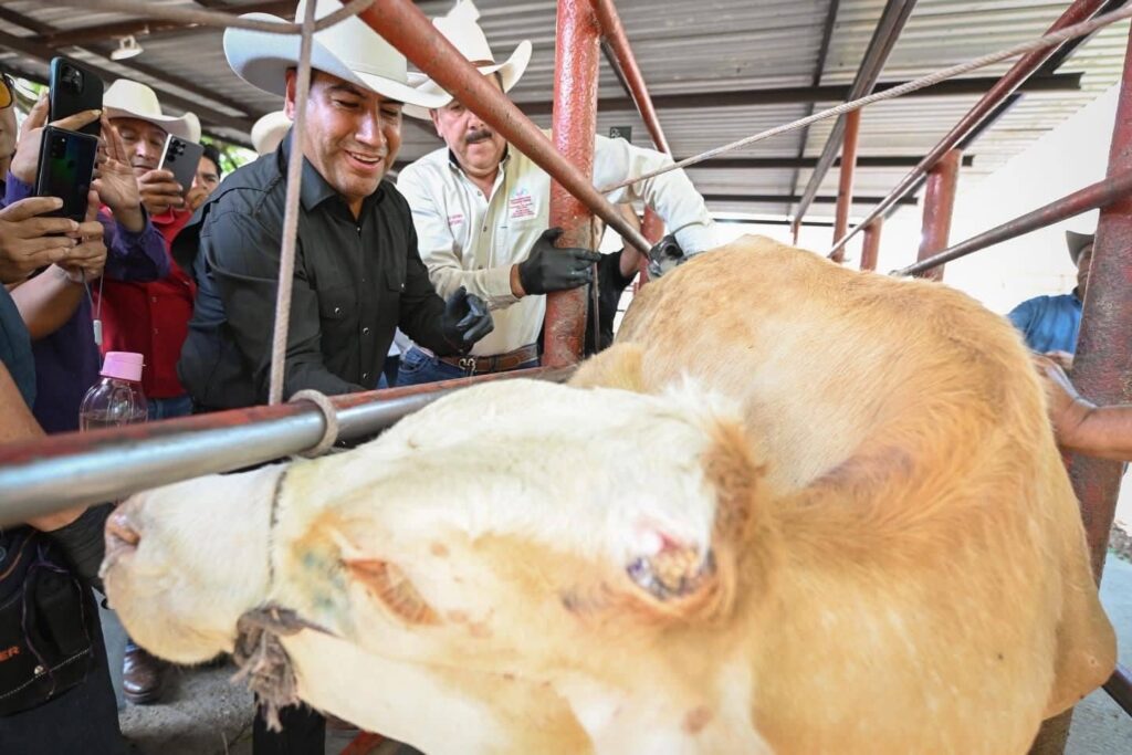 ERA GUSANO BARRENADOR PICHUCALCO4 1