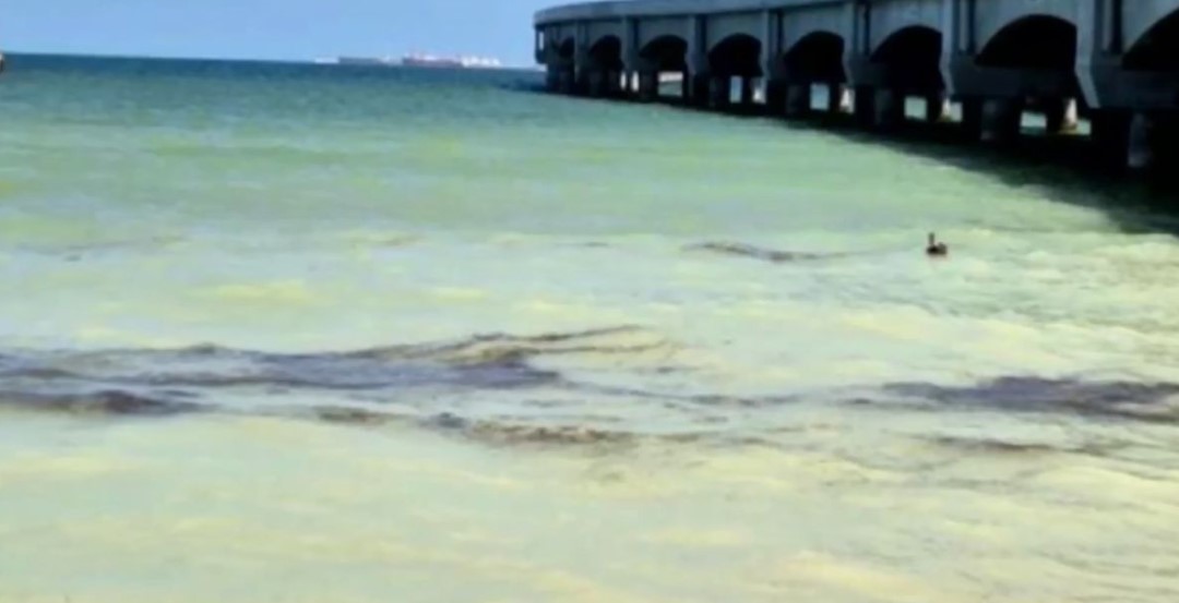 Aparecen manchas de crudo en Puerto Progreso, Yucatán; autoridades refieren falla en ducto submarino