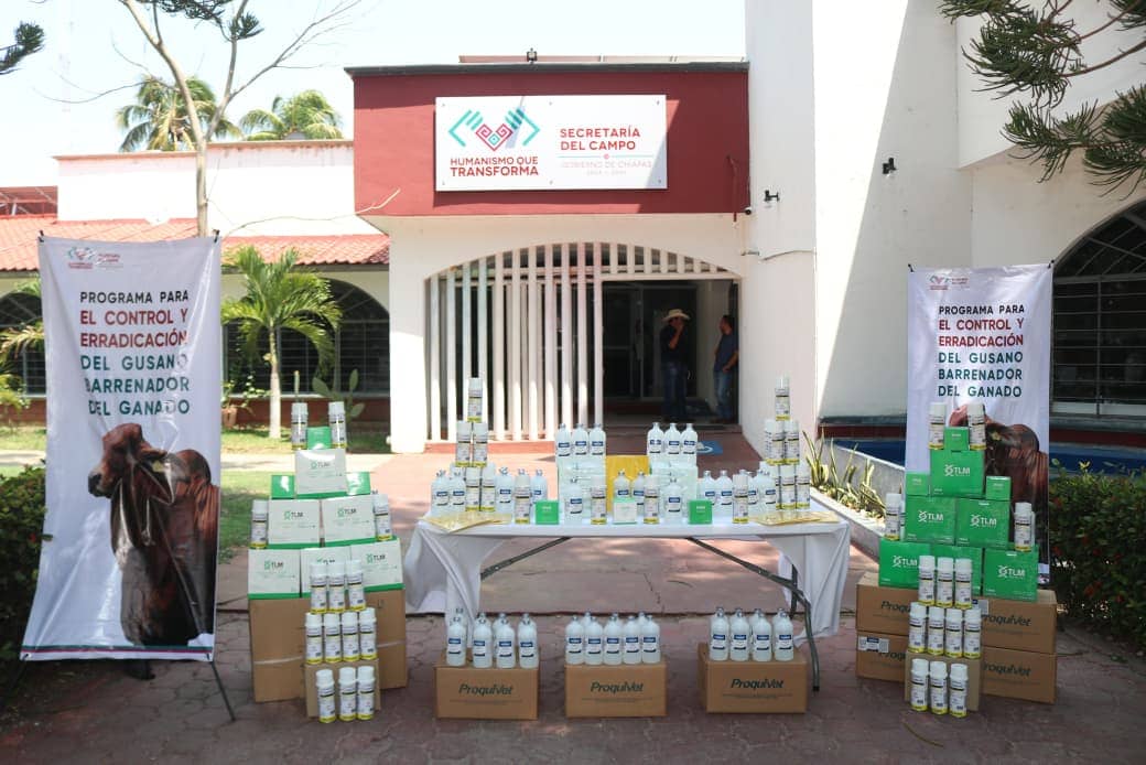 Secam fortalece acciones contra el GBG en la Costa de Chiapas
