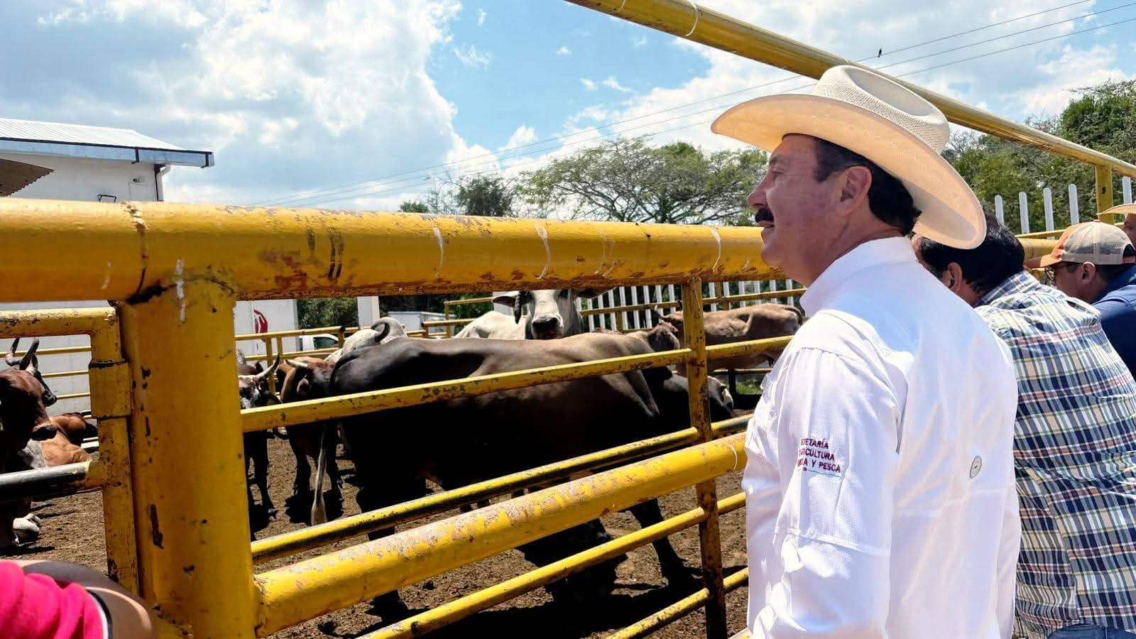 Comitán tendrá uno de los rastros TIF más modernos del sureste mexicano