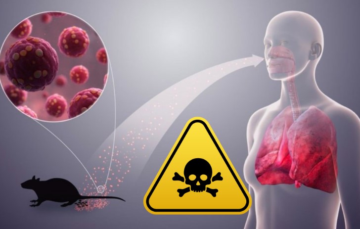 Secretaría de Salud emite aviso epidemiológico por hantavirus