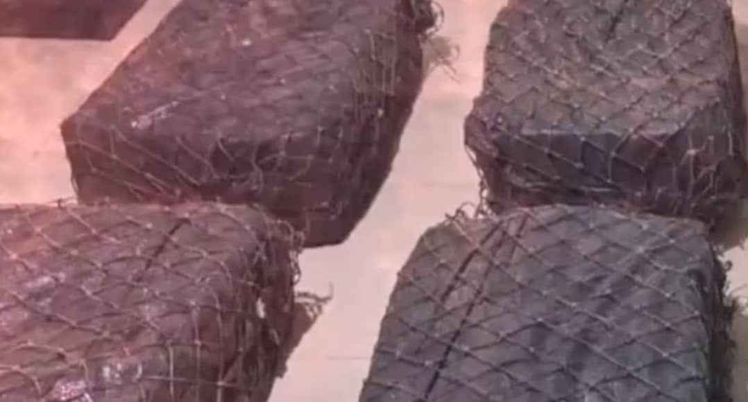 Ecuador decomisa 360 kilos de cocaína; cargamento iba a ser enviado a Estados Unidos