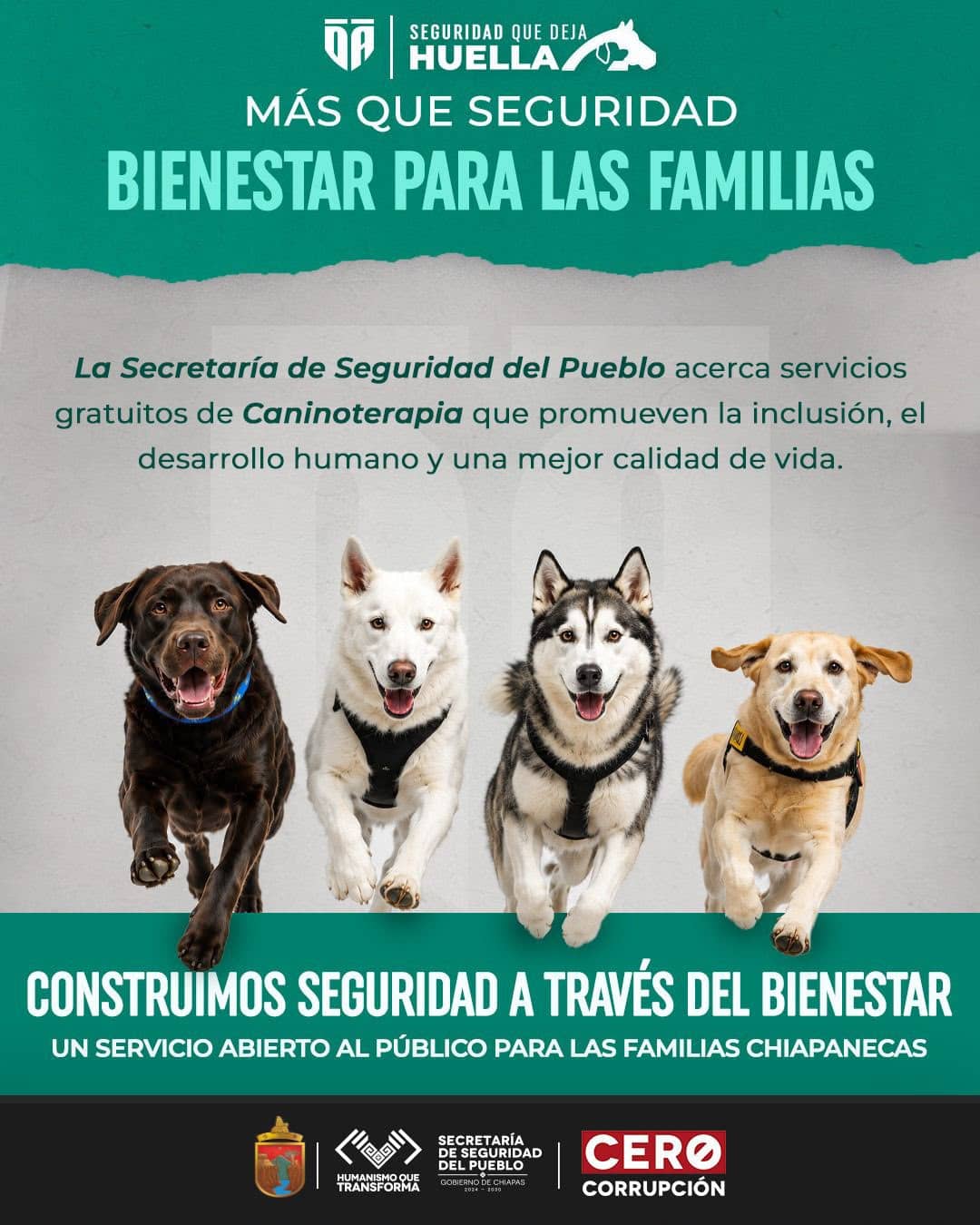 SSP fortalece el bienestar y la inclusión mediante la caninoterapia