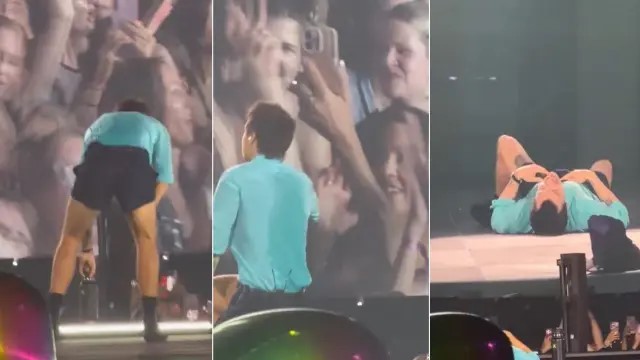 Harry Styles se desplomó en el escenario de Wembley durante la ola de calor en Londres