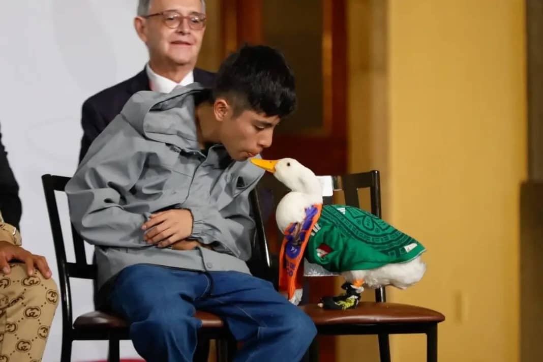 Merlín registra su imagen en el IMPI; ya se venden sus peluches en el Centro Histórico