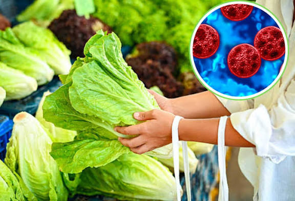 ¡No solo es la lechuga! Estos alimentos también han sido relacionados con brotes de ciclosporiasis