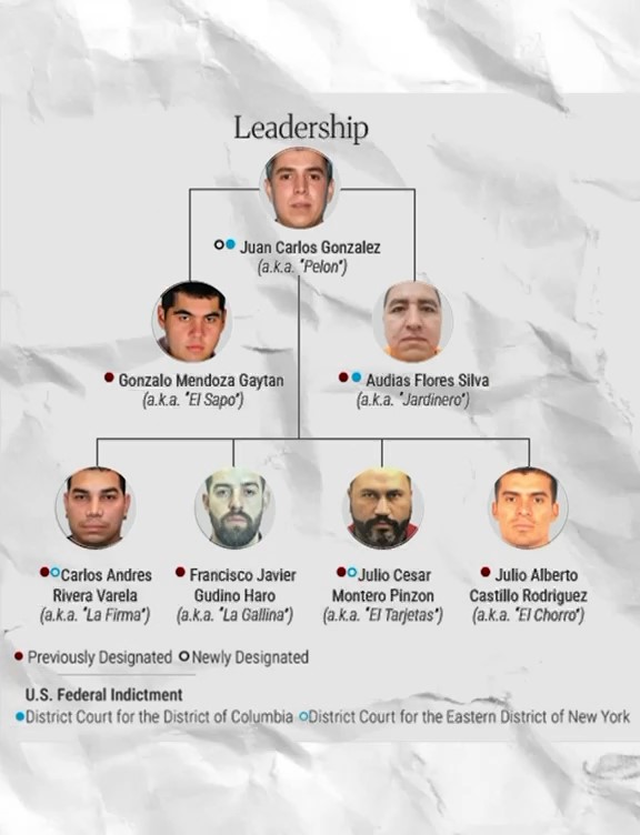 ESTRUCTURA CJNG ORGANIGRAMA