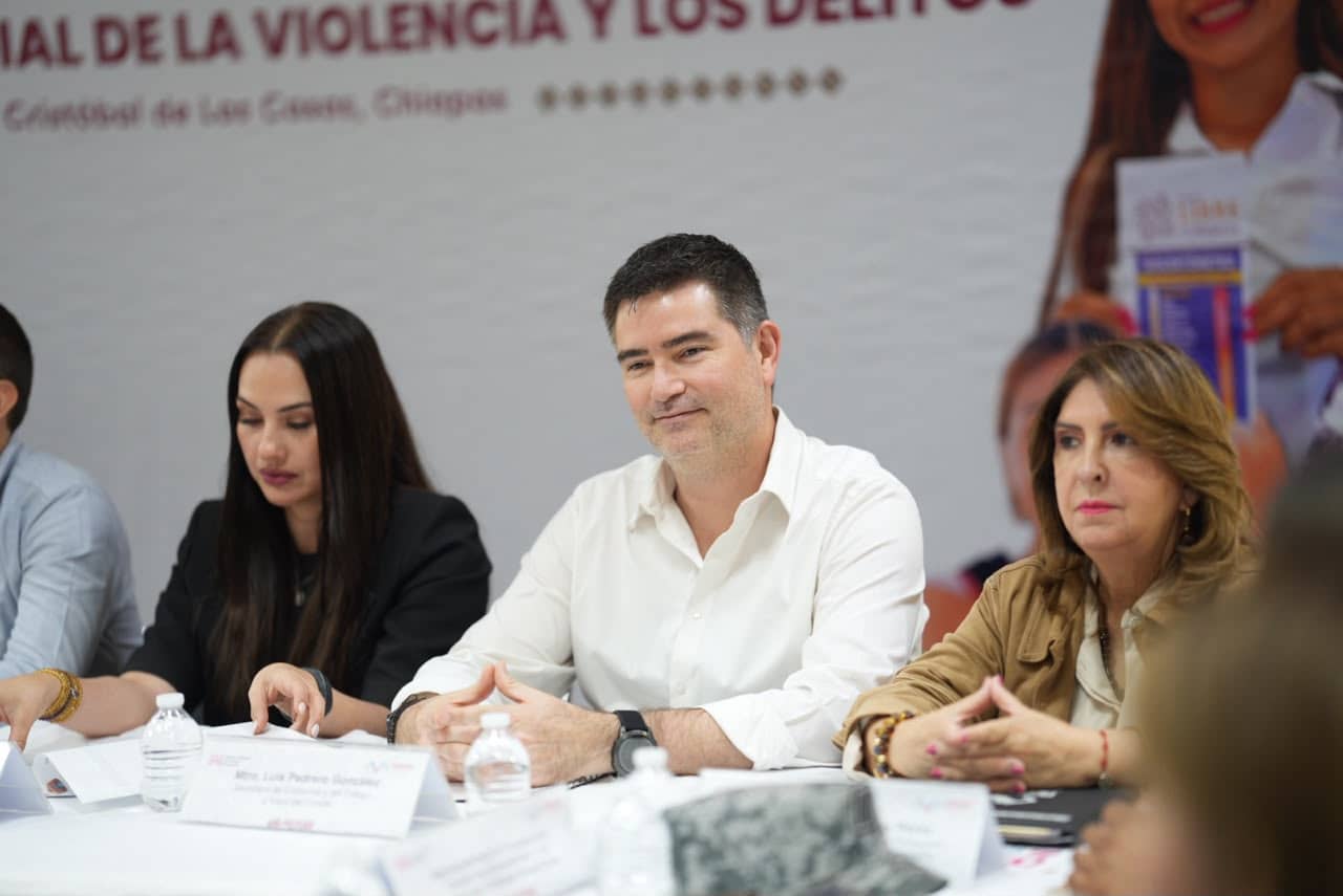 Participa titular de SEyT en reunión colaborativa de la Estrategia Nacional de Seguridad Pública 2024-2030