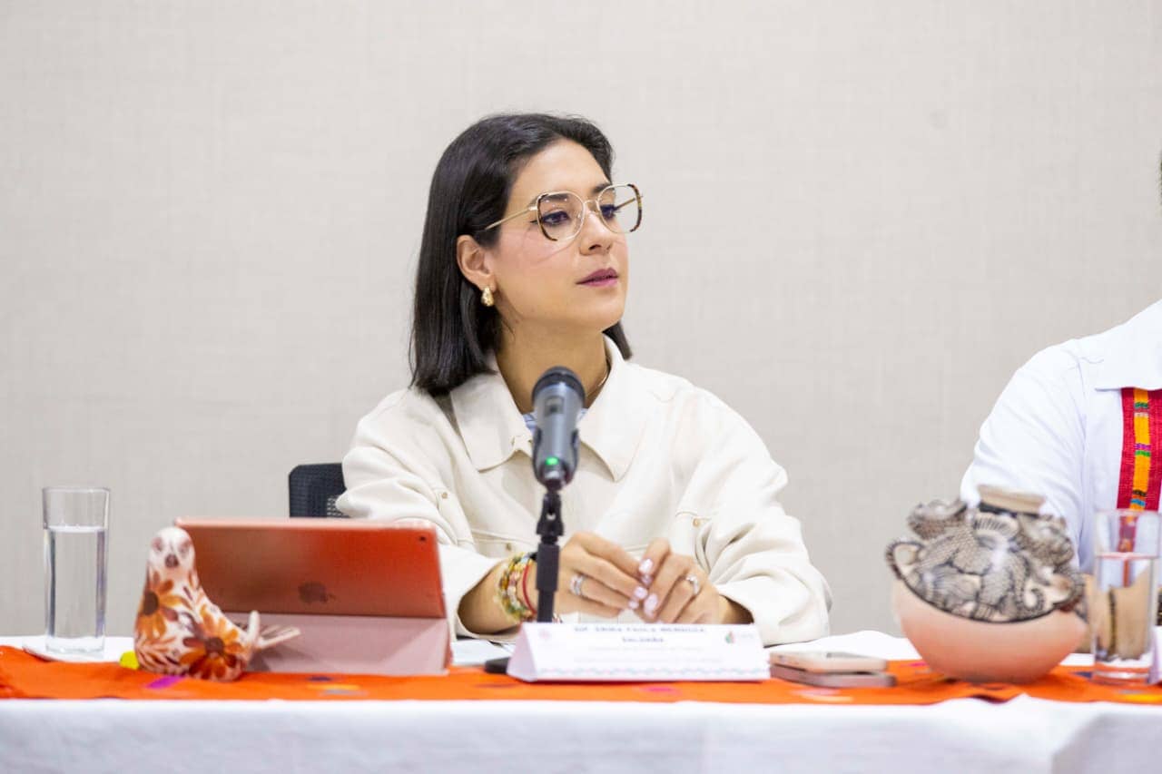 Presenta diputada Erika Mendoza objetivo de reformas a Ley de Turismo