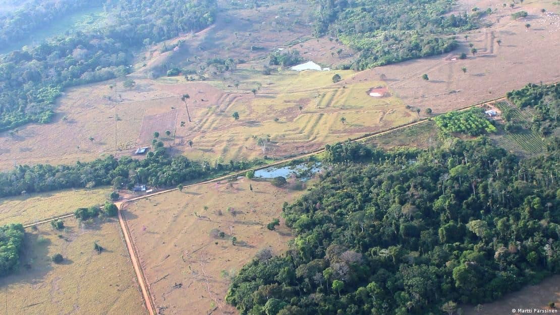Hallan estructuras de cultura milenaria bajo selva amazónica
