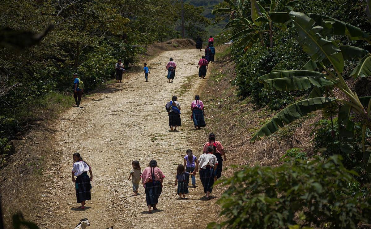 Pueblos indígenas de Chiapas denuncian persecución por defender sus territorios