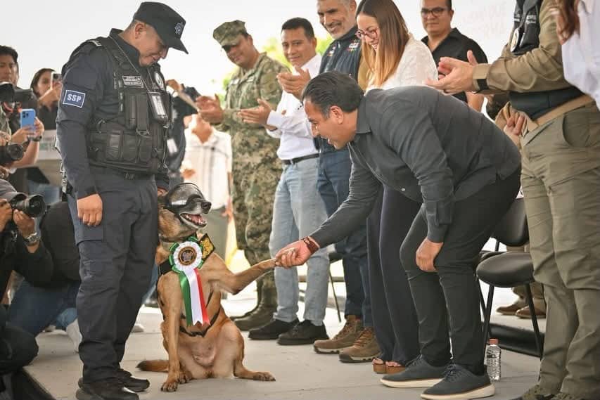FOTO SEGUNDA ERA JUBILACION CANINOS Y EQUINOS 1