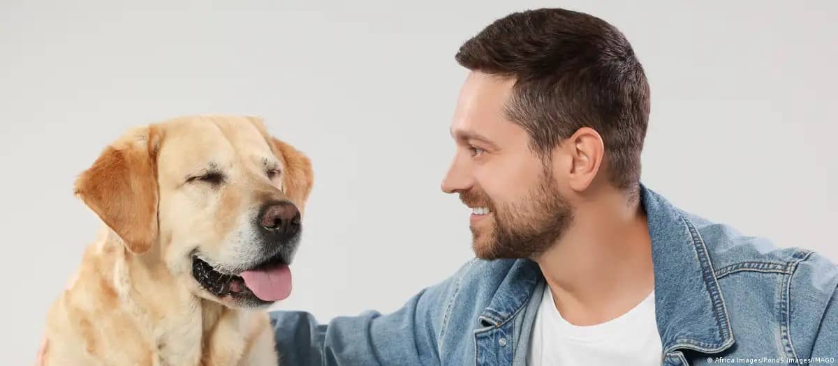 ¿Tu perro sabe lo que sientes? Esto revela su cerebro