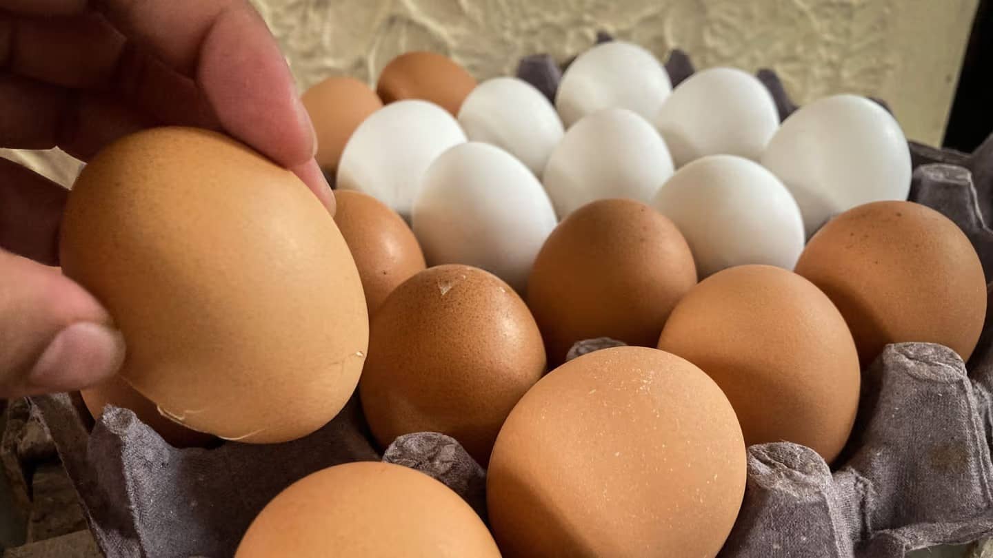 El precio del kilo de huevo sube en México y estas son las posibles razones