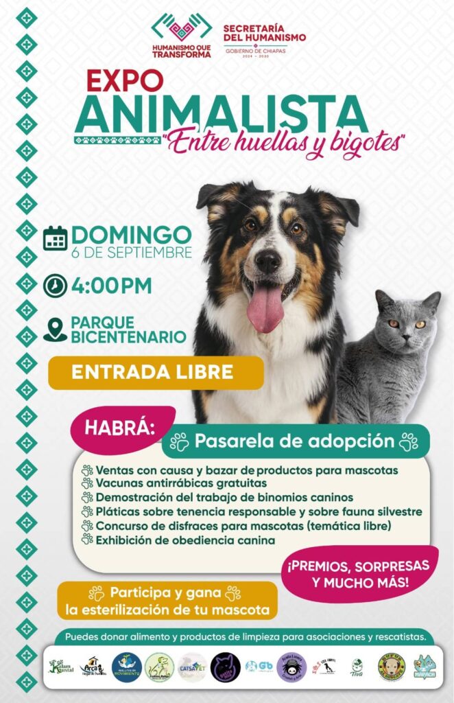 Paco Chacón invita a las familias de Tuxtla a la Expo Animalista “Entre Huellas y Bigotes” 1 FOTO HUMANISMO 1 1