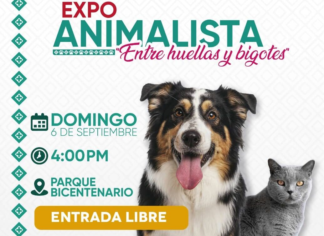 Paco Chacón invita a las familias de Tuxtla a la Expo Animalista “Entre Huellas y Bigotes”