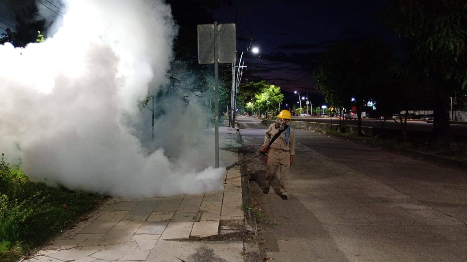Exhorta Salud a sumarse a la eliminación masiva de criaderos de mosquitos para prevenir el dengue