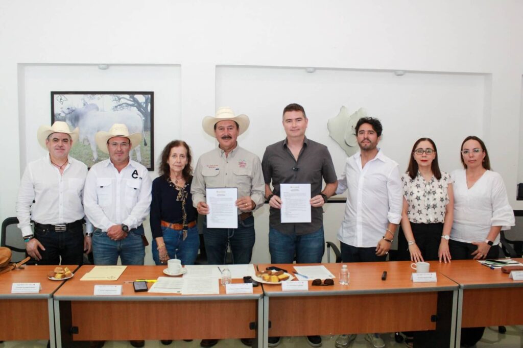 FOTOS SEyT00008 1 1