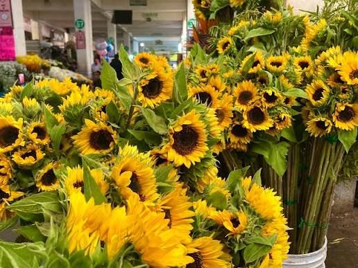 ¿Qué flores amarillas regalar este 21 de septiembre? Conoce su significado